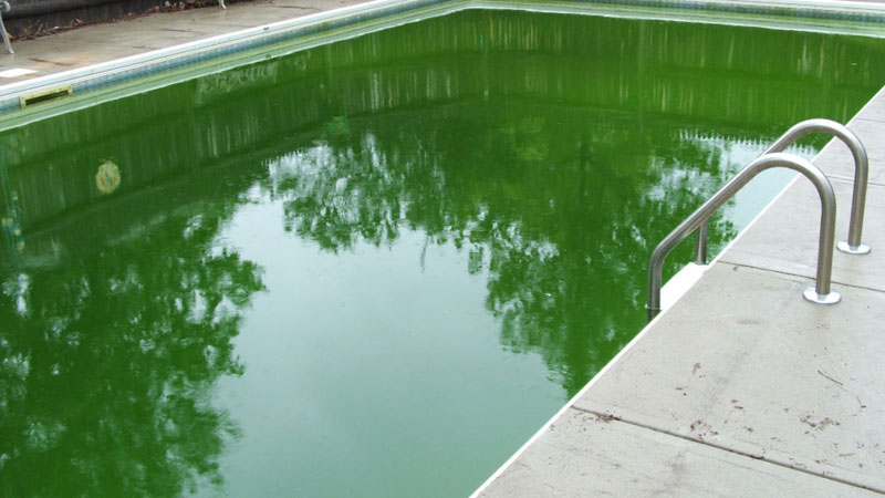 Por qué se pone verde el agua de piscina?